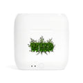 Essos Wireless Earbuds-WEED-SCUMMIEBEARZ™️